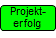 Projekterfolg