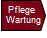 Pflege und Wartung