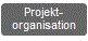 Projektorganisation