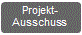 Projektausschuss