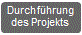 Projektorganisation: Projektdurchführung