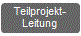 Projektdurchführung: Teilprojektleitung