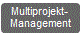 Multiprojektmanagement