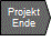 Projektende