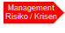 Risikomanagement