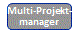 Multi-Projektmanager